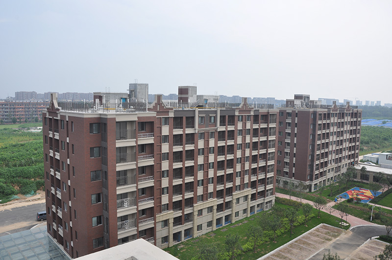 1528253509935941.jpg 保利海上五月花玫瑰園項(xiàng)目-xiao.jpg